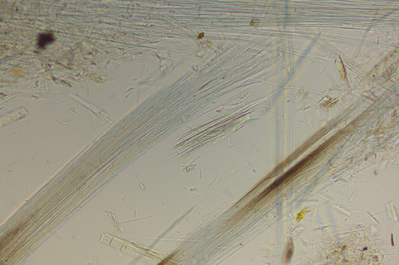 Visoria P Polarization Microscope for Geosciences Including Conoscopy with Flexacam c5